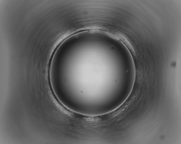 X0000095550805200712141554