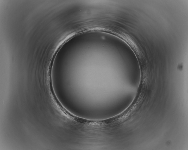 X0000095550806200712141554