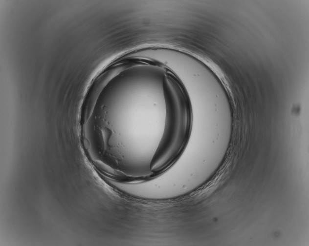 X0000095550807200712141554