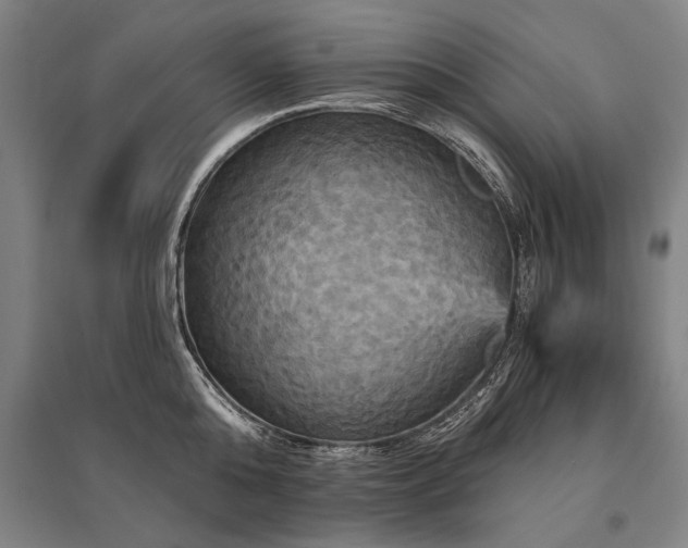 X0000095550808200712141554