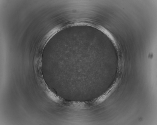 X0000095550809200712141554