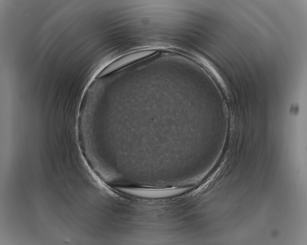 X0000095550810200712141554