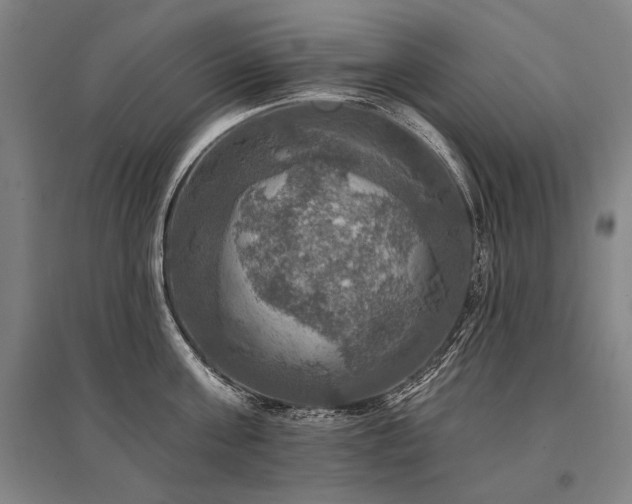 X0000095550811200712141554