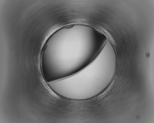 X0000095550812200712141554