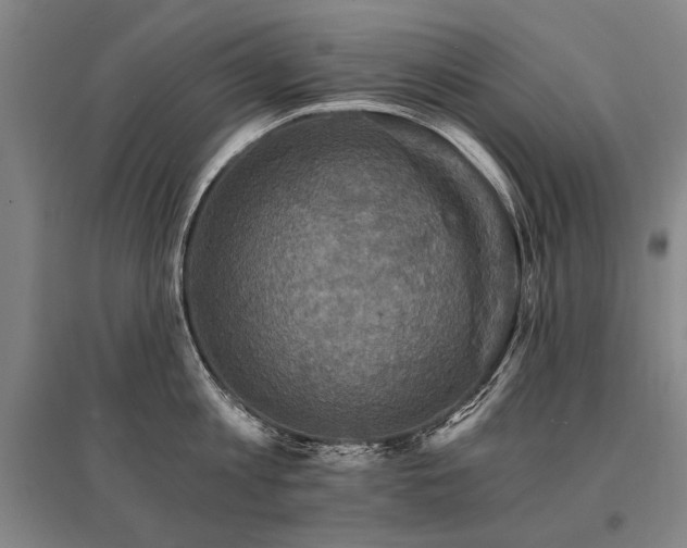 X0000095550813200712141554