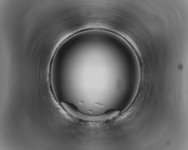 X0000095550815200712141553