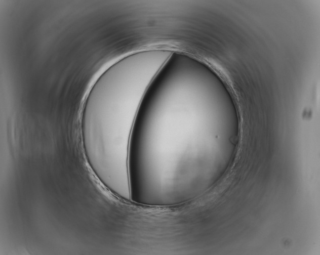 X0000095550816200712141553