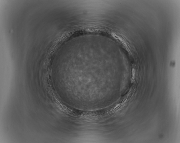 X0000095550817200712141553