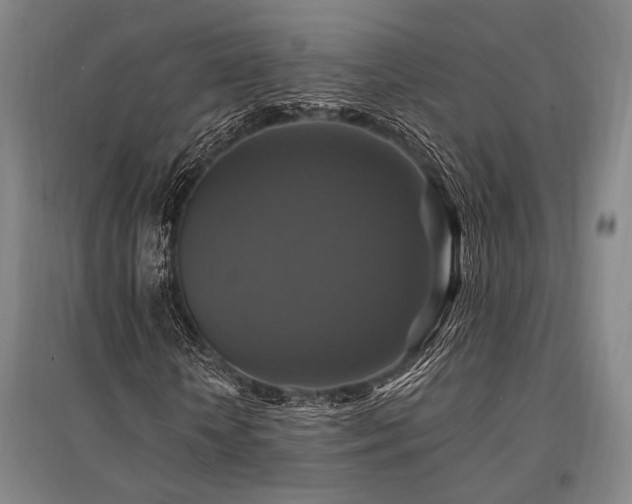 X0000095550818200712141553