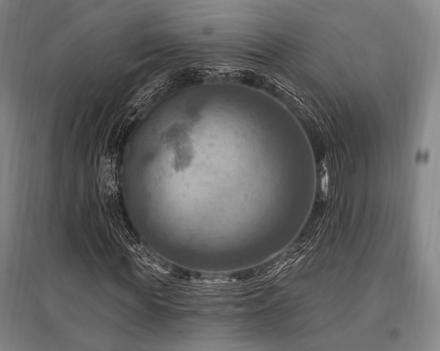 X0000095550819200712141553