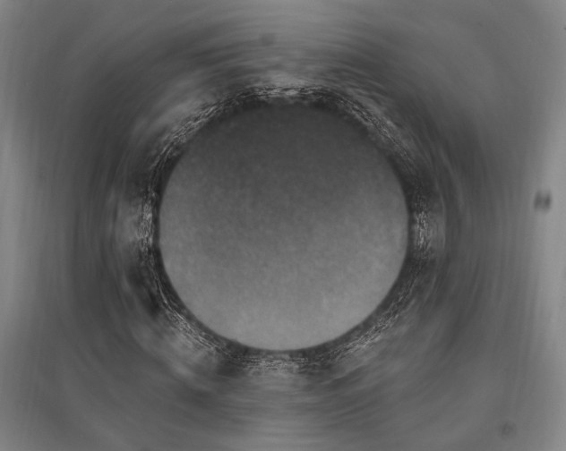 X0000095550820200712141553