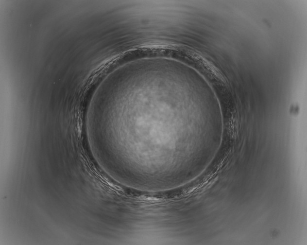 X0000095550821200712141553