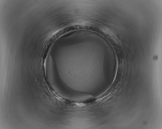 X0000095550822200712141553