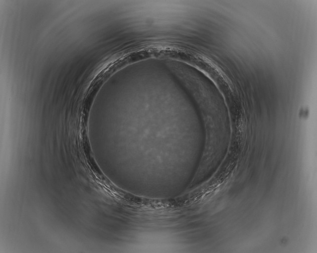 X0000095550823200712141553