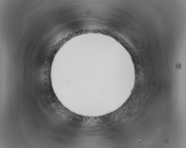 X0000095550824200712141553