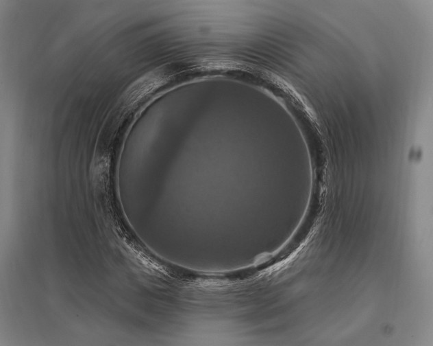 X0000095550825200712141553