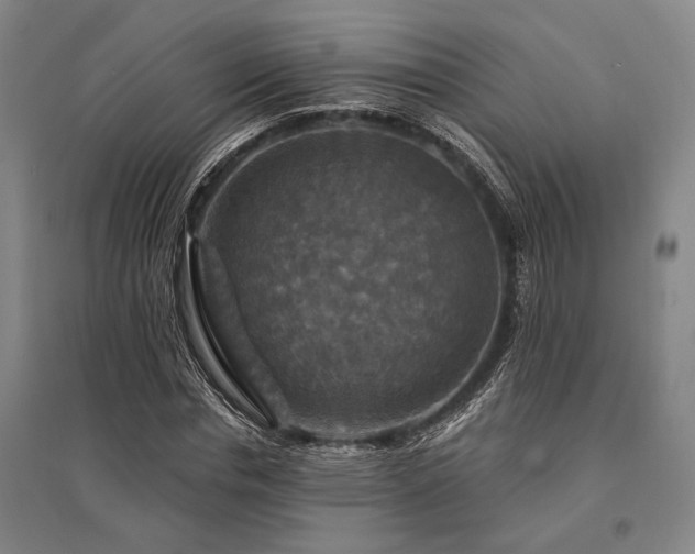 X0000095550826200712141553