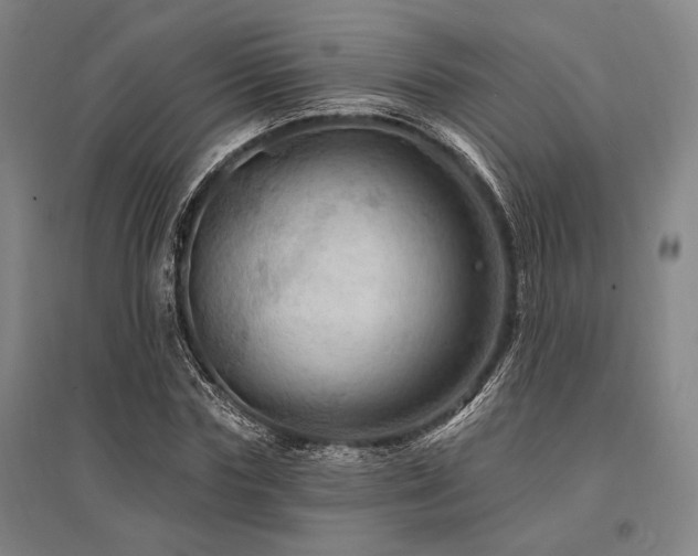 X0000095550827200712141553