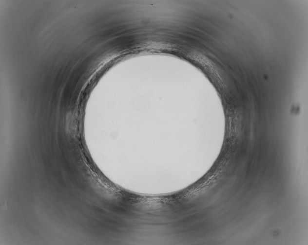 X0000095550828200712141553