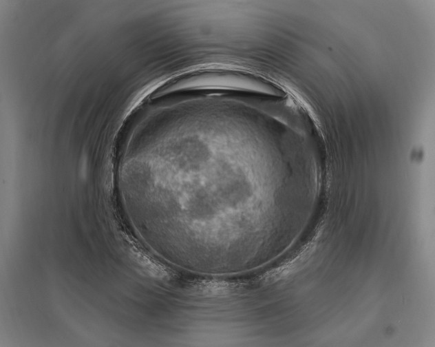 X0000095550829200712141553