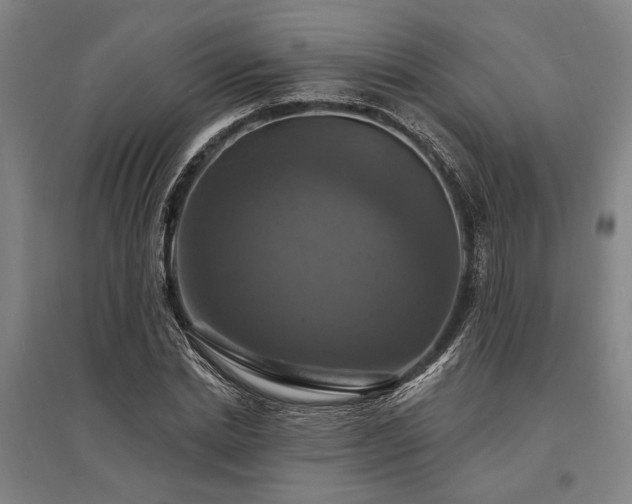 X0000095550830200712141553