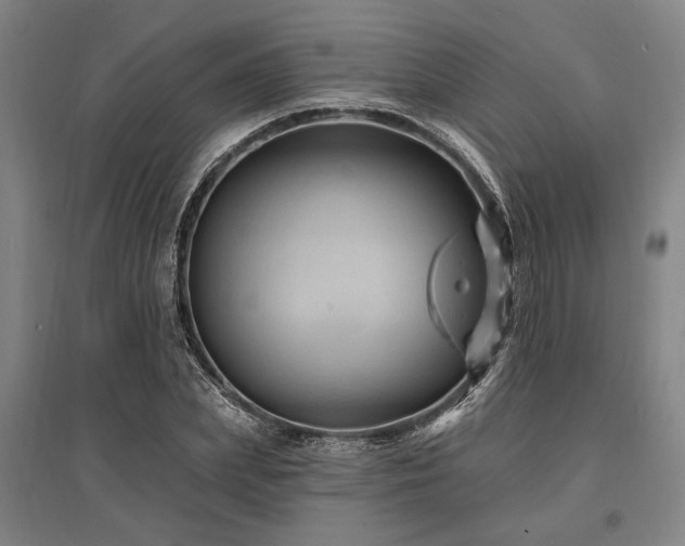 X0000095550831200712141553