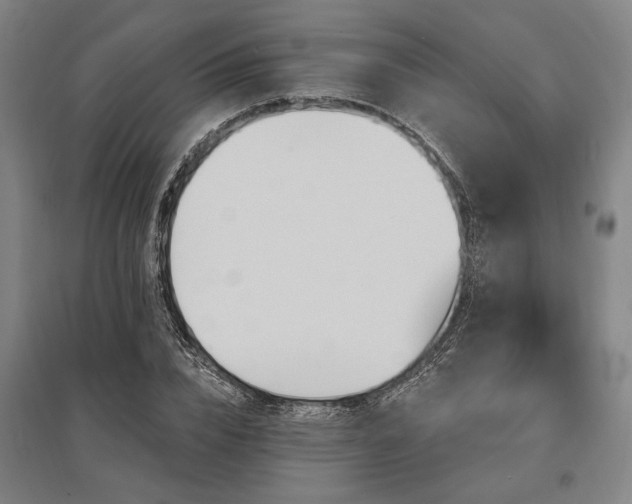 X0000095550832200712141553