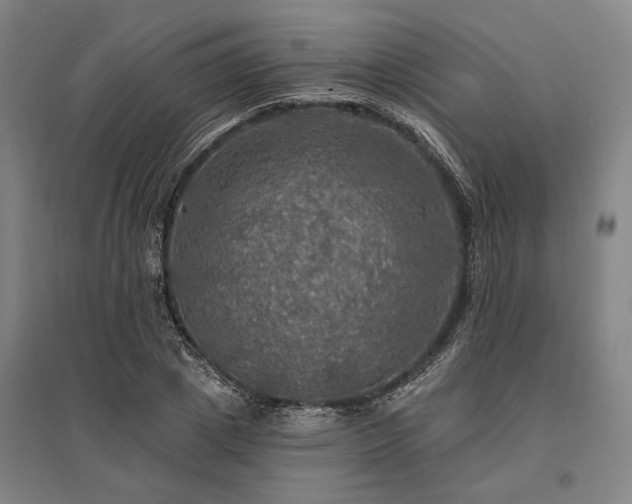 X0000095550833200712141553