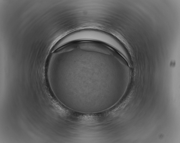 X0000095550834200712141553