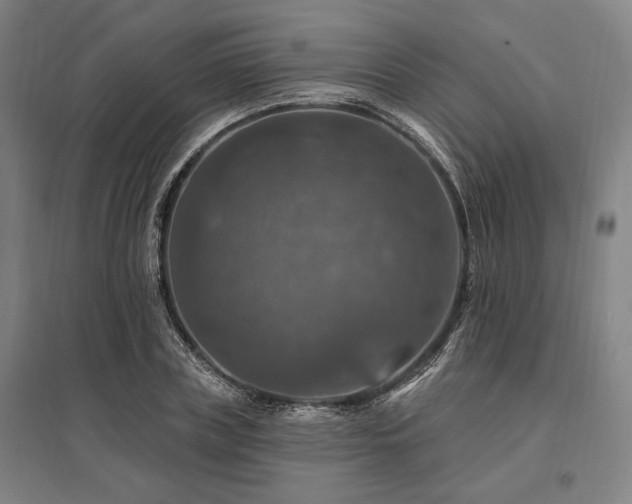 X0000095550835200712141553