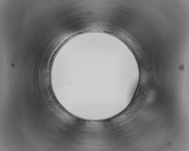 X0000095550836200712141553