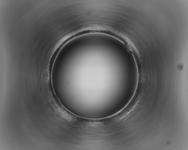 X0000095550837200712141553