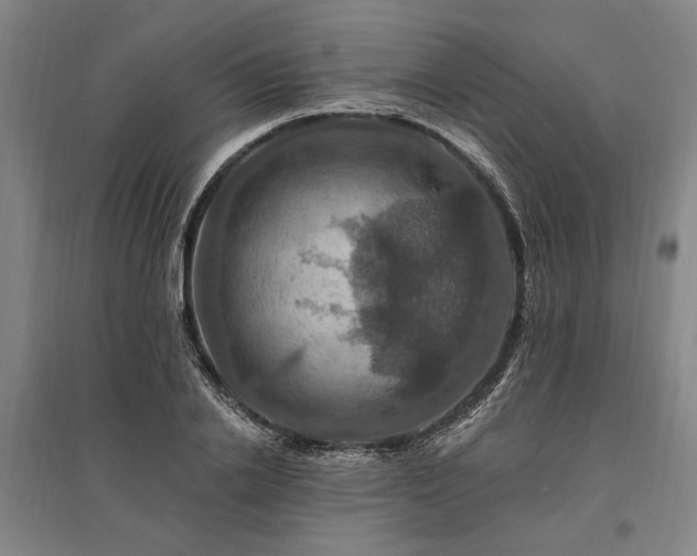 X0000095550838200712141553