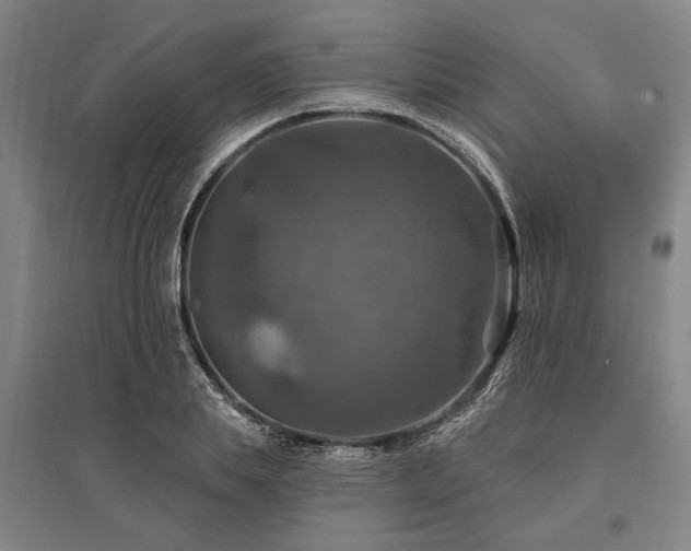 X0000095550839200712141553