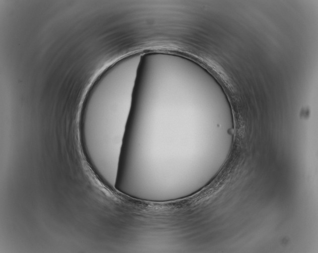 X0000095550840200712141553