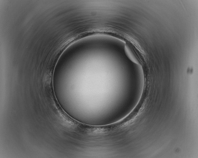 X0000095550841200712141553