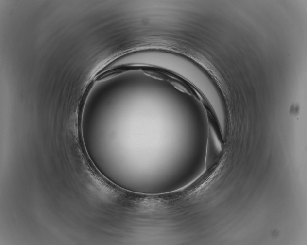 X0000095550842200712141553