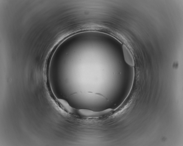 X0000095550843200712141553