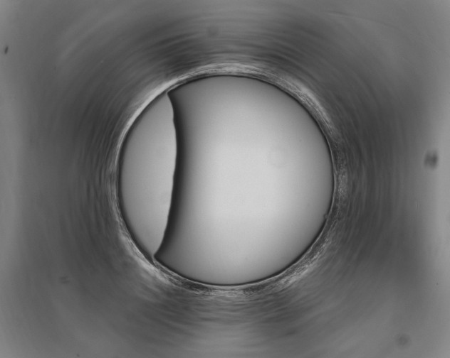 X0000095550844200712141553