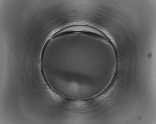 X0000095550845200712141553