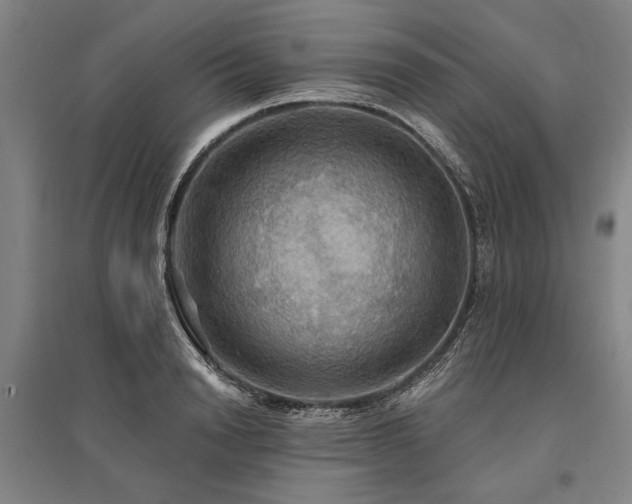 X0000095550846200712141553