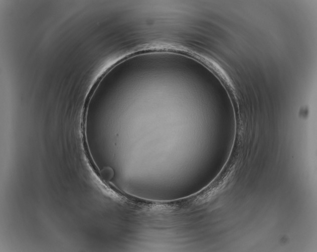 X0000095550847200712141553