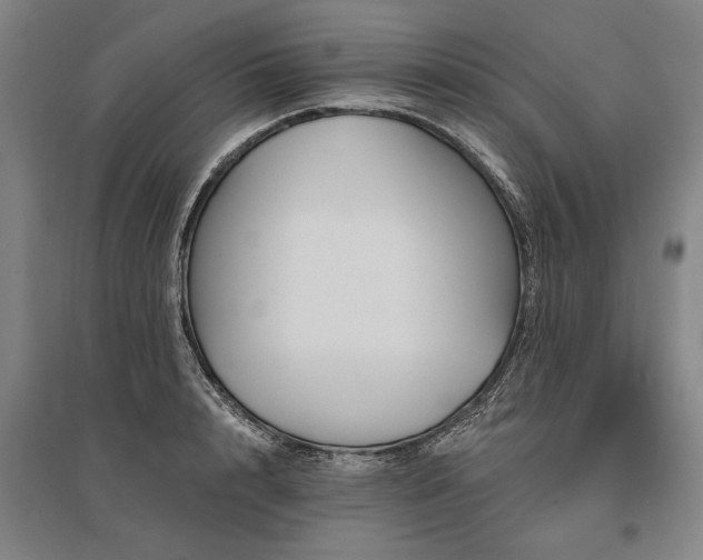 X0000095550848200712141553