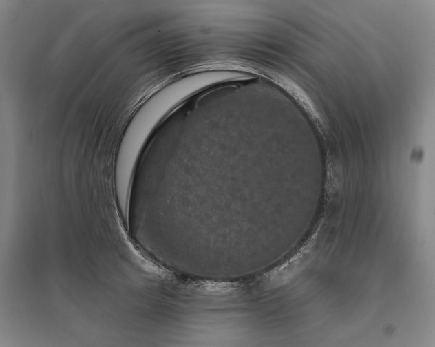 X0000095550849200712141553