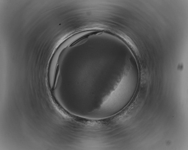 X0000095550850200712141553