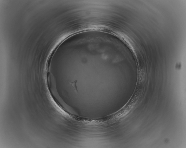 X0000095550851200712141553