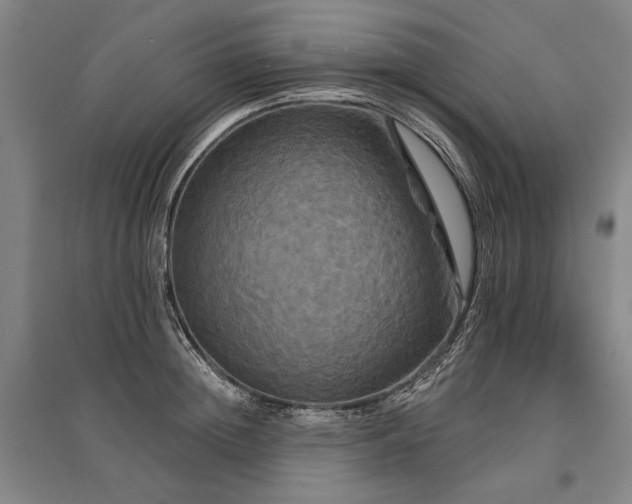 X0000095550852200712141553