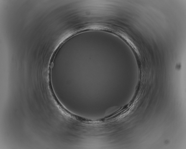 X0000095550853200712141553