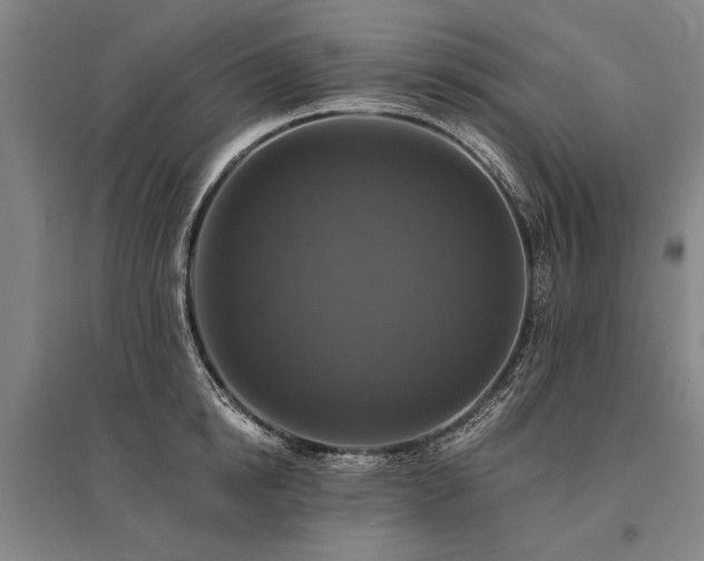 X0000095550854200712141553