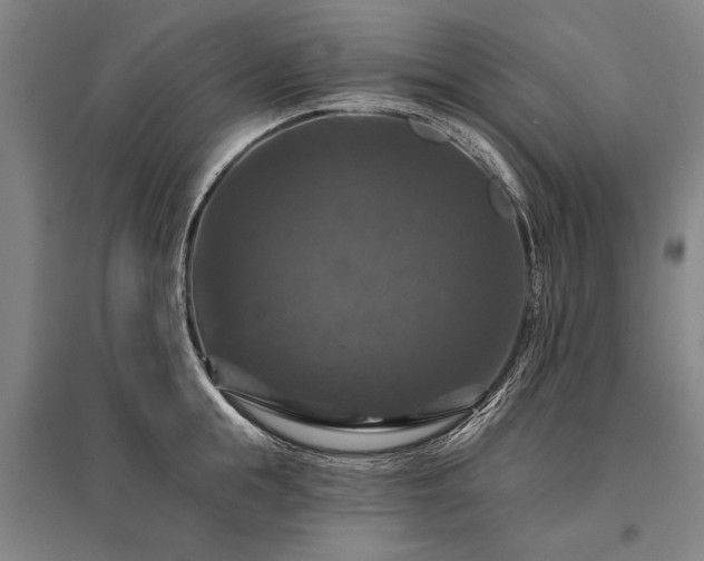 X0000095550855200712141553